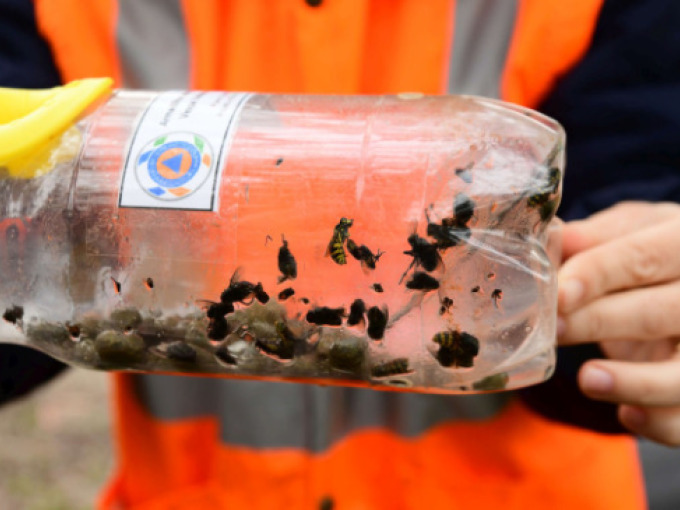 Magnam voluptatem iusto eius.